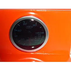 organo pieshs ladiou