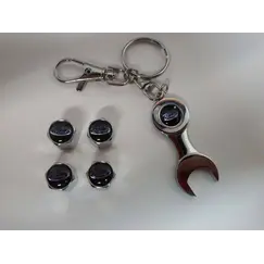 Τάπες ελαστικών μπρελοκ κλειδί Ford